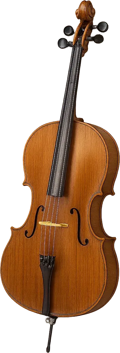 Violoncelle